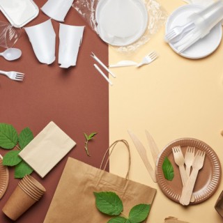 Disposable Tableware