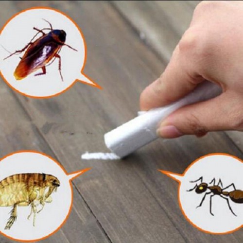 Pest Control